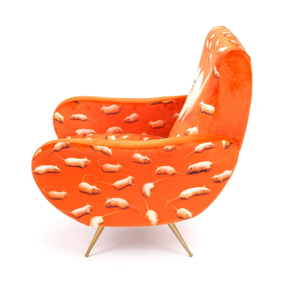 Armchair Kitten