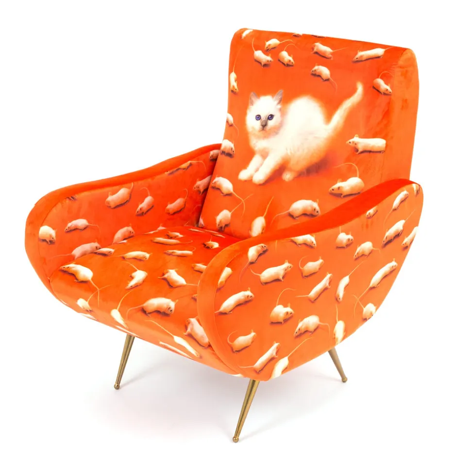Armchair Kitten