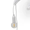 Bird Lamp Light Bulb Indoor
