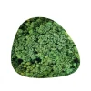 Bowl mat PETS (R)EVOLUTION Les Alpes
