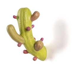 Cactus Coloured