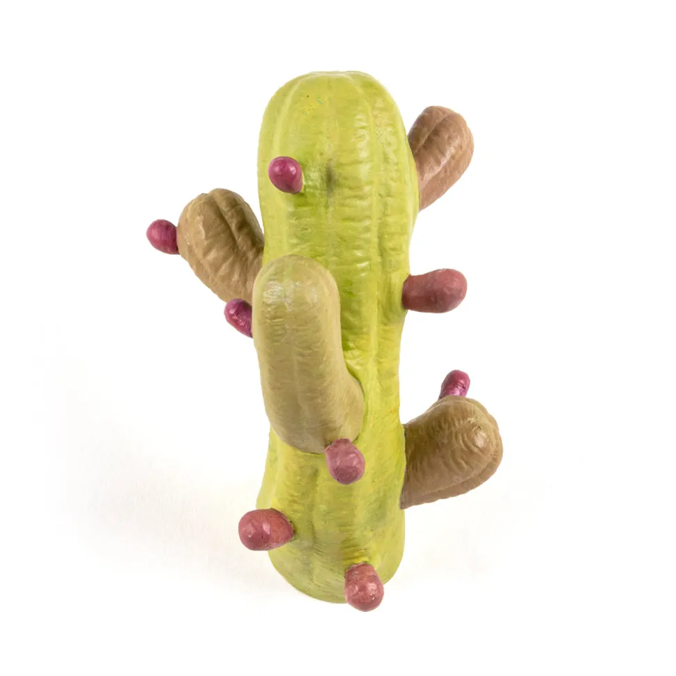 Cactus Coloured
