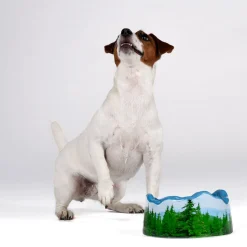 Ceramic bowl PETS (R)EVOLUTION Les Alpes