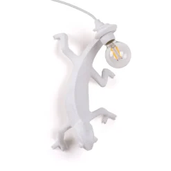 Chameleon Lamp Going Down USB