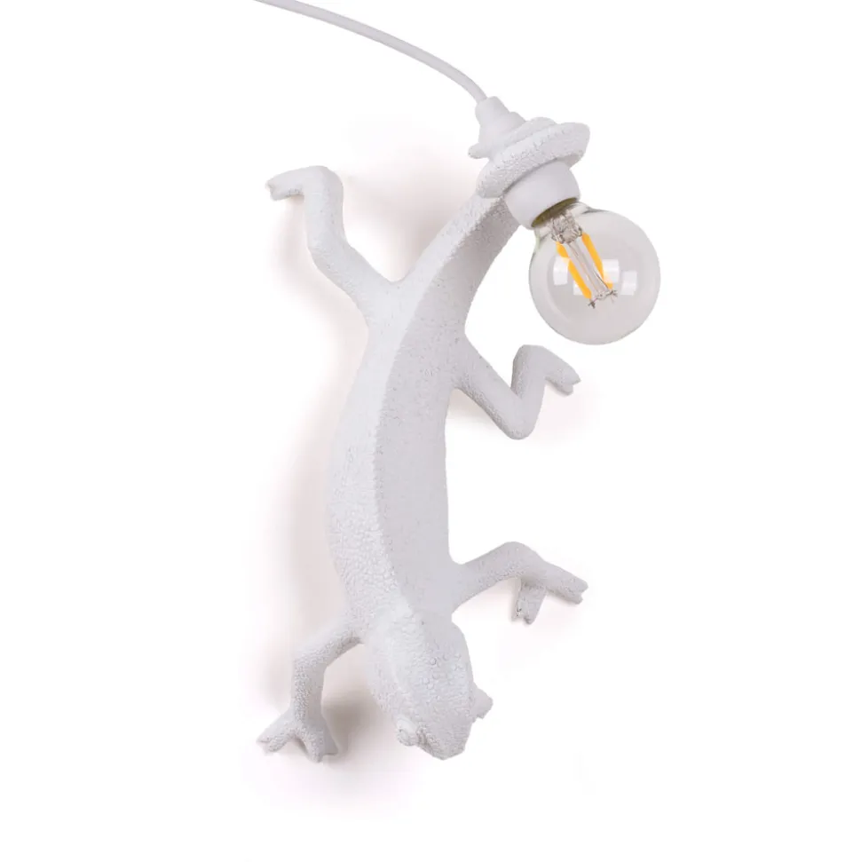 Chameleon Lamp Going Down USB