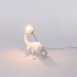 Chameleon Lamp Still USB