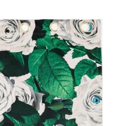 Curtain Roses