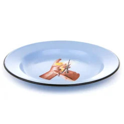 Enamel Plate Bird