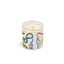 Glass Candle Snakes