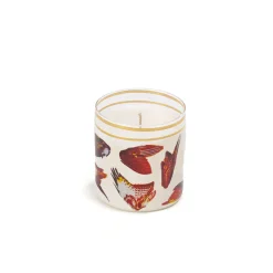 Glass Candle Wings