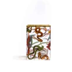 Glass Vase Snakes