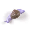 Hangers Snail Awake Coloured