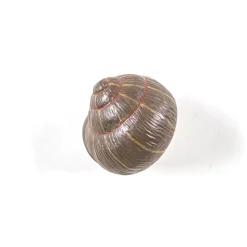Hangers Snail Sleepy Coloured