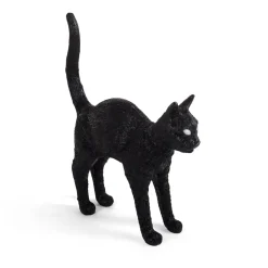 Jobby The Cat Black