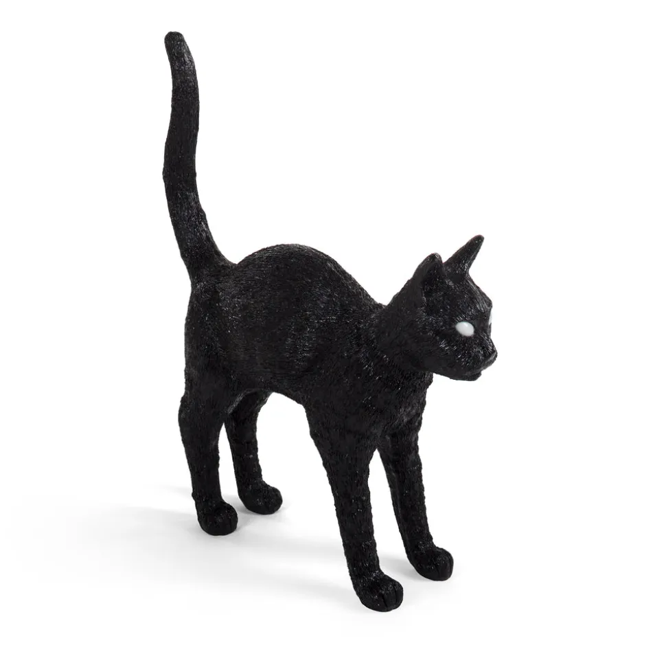 Jobby The Cat Black