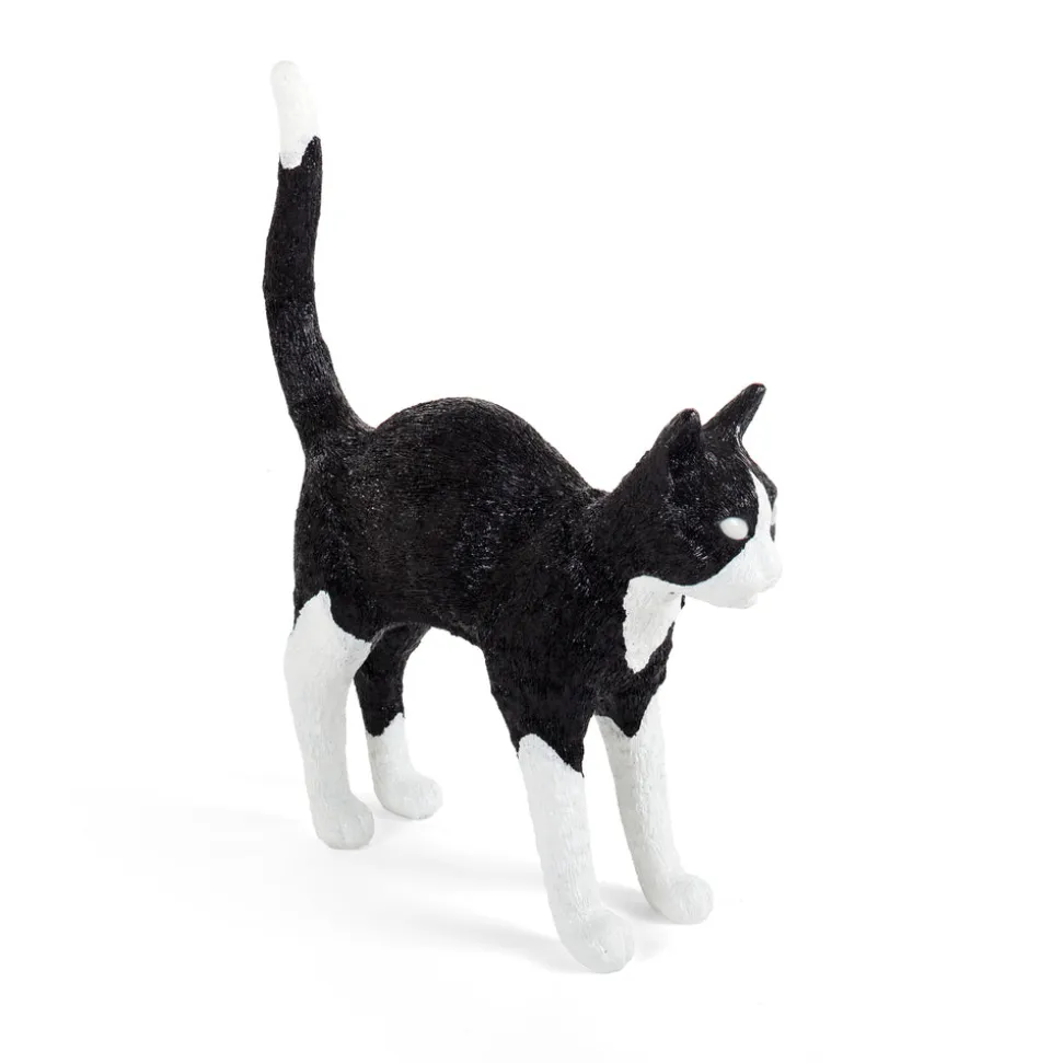 Jobby The Cat Black & White
