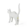 Jobby The Cat White