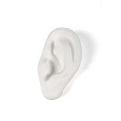 Memorabilia Mvsevm Ear