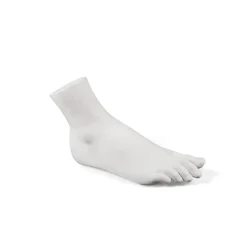 Memorabilia Mvsevm Female Foot