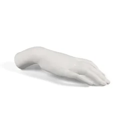 Memorabilia Mvsevm Female Hand