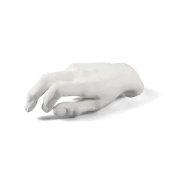 Memorabilia Mvsevm Male Hand