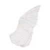 Memorabilia Mvsevm Wing Left