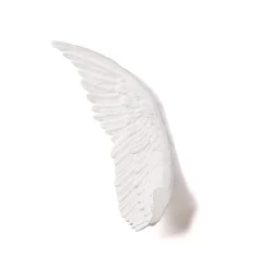 Memorabilia Mvsevm Wing Right