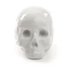 Memorabilia My Skull