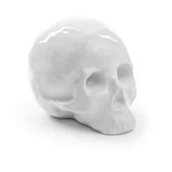 Memorabilia My Skull