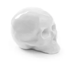 Memorabilia My Skull