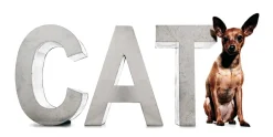 "METALVETICA" 100 - K