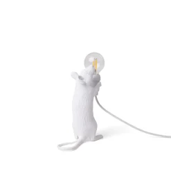 Mouse Lamp Step