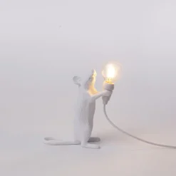 Mouse Lamp Step