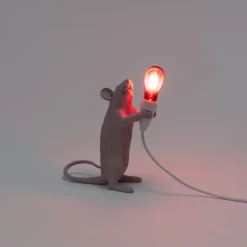 Mouse Lamp Step Love USB
