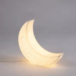 My Tiny Moon Lamp