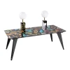 Rectangular Table Snakes Big