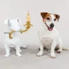 Rio Lamp