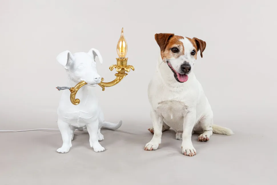Rio Lamp