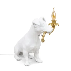Rio Lamp