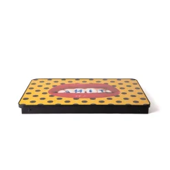Sofa Tray Shit