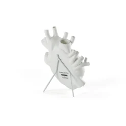 Support Love In Bloom White