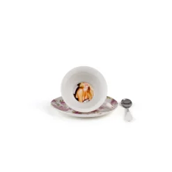 Teacup Tarin - Vittoria