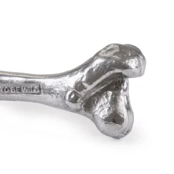Wundekammer Bone