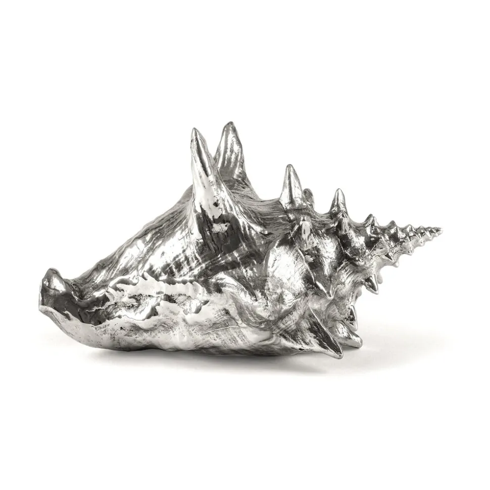 Wundekammer Shell