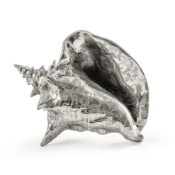 Wundekammer Shell