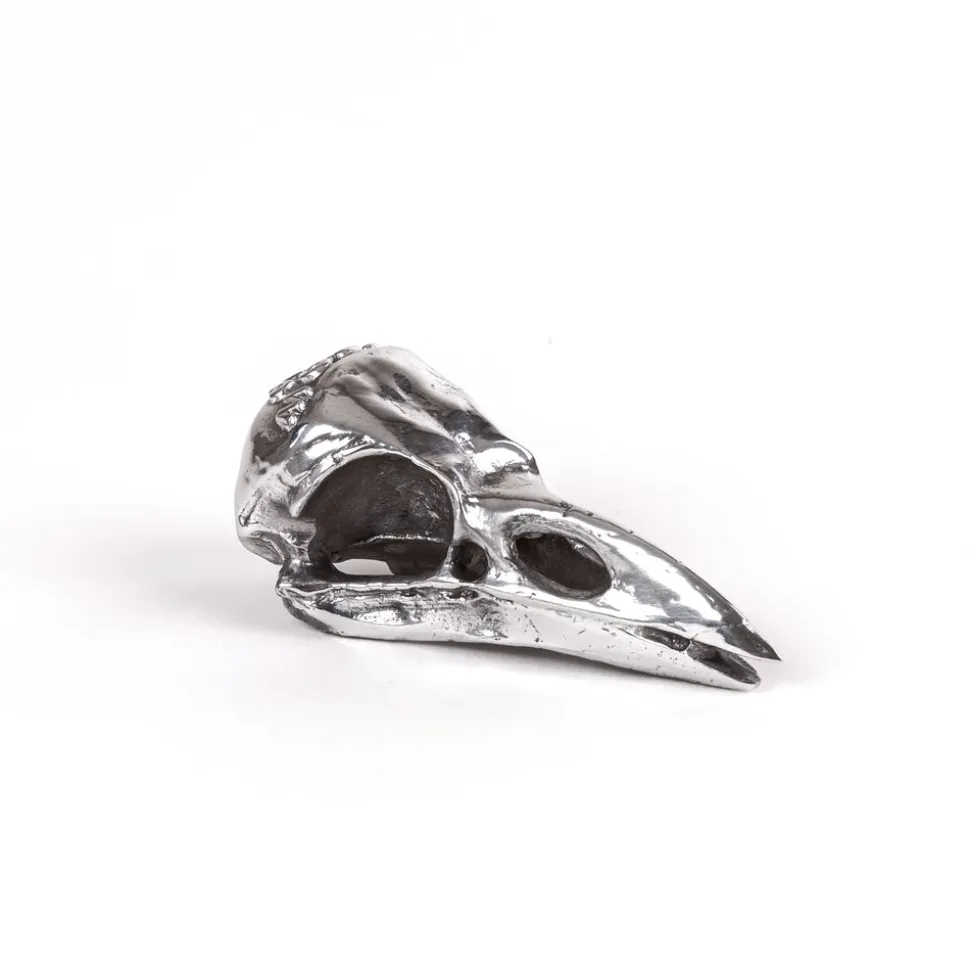 Wunderkammer Bird Skull