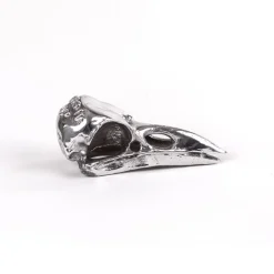 Wunderkammer Bird Skull