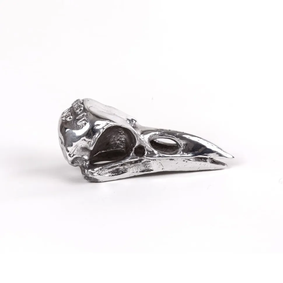 Wunderkammer Bird Skull