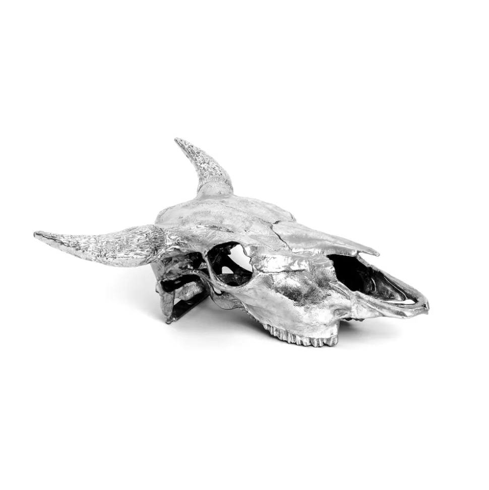 Wunderkammer Bison Skull