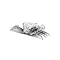 Wunderkammer Crab